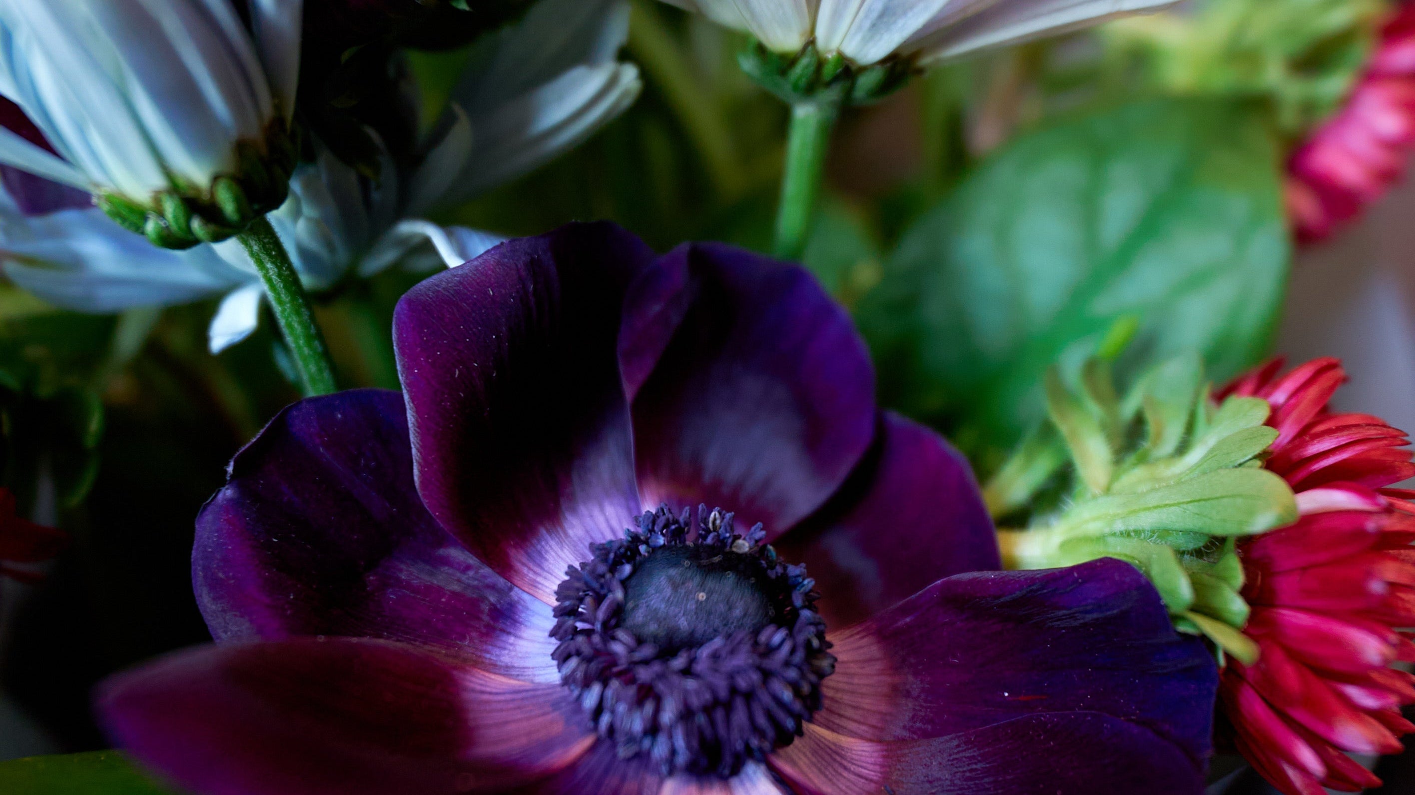 How to Keep Fresh Flowers Alive Longer: 10 Florist-Approved Tips