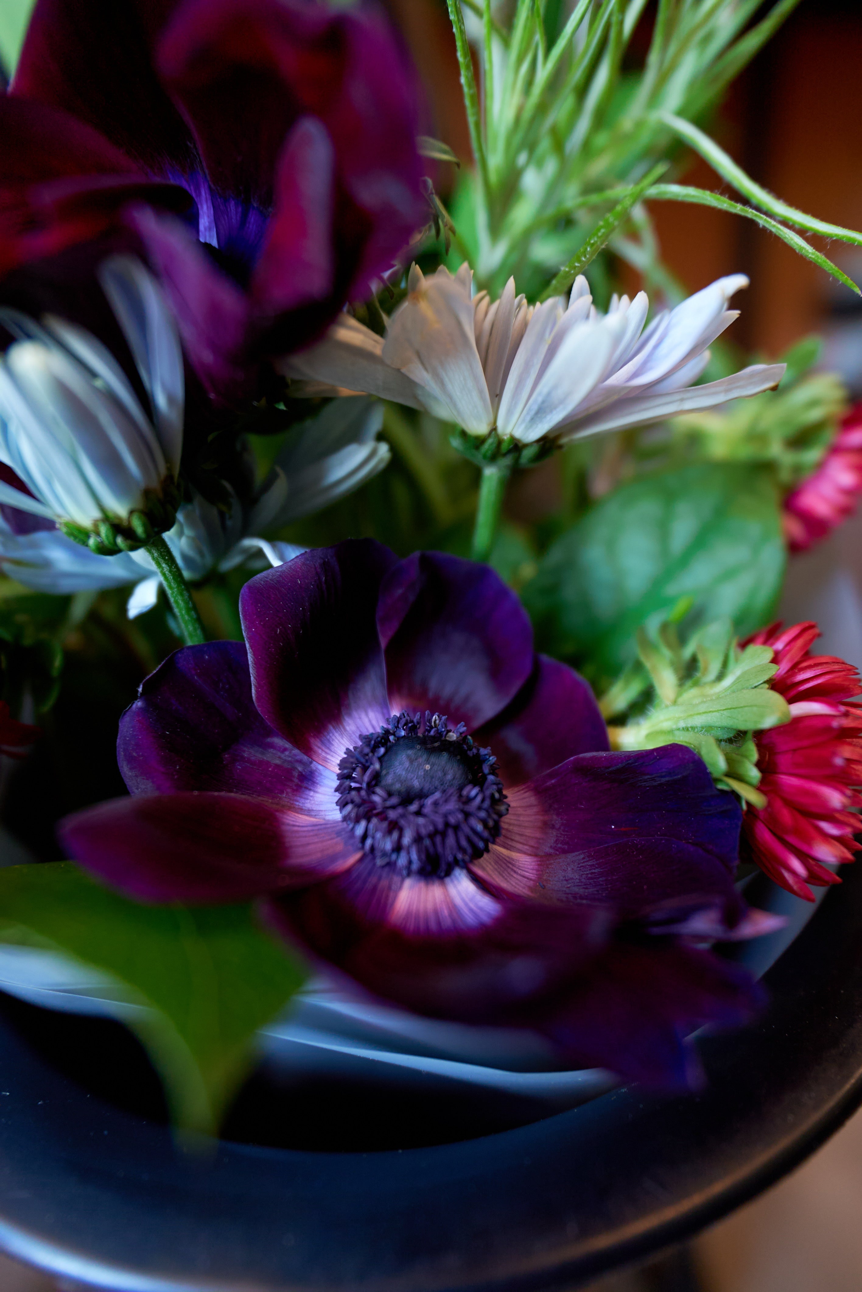 How to Keep Fresh Flowers Alive Longer: 10 Florist-Approved Tips