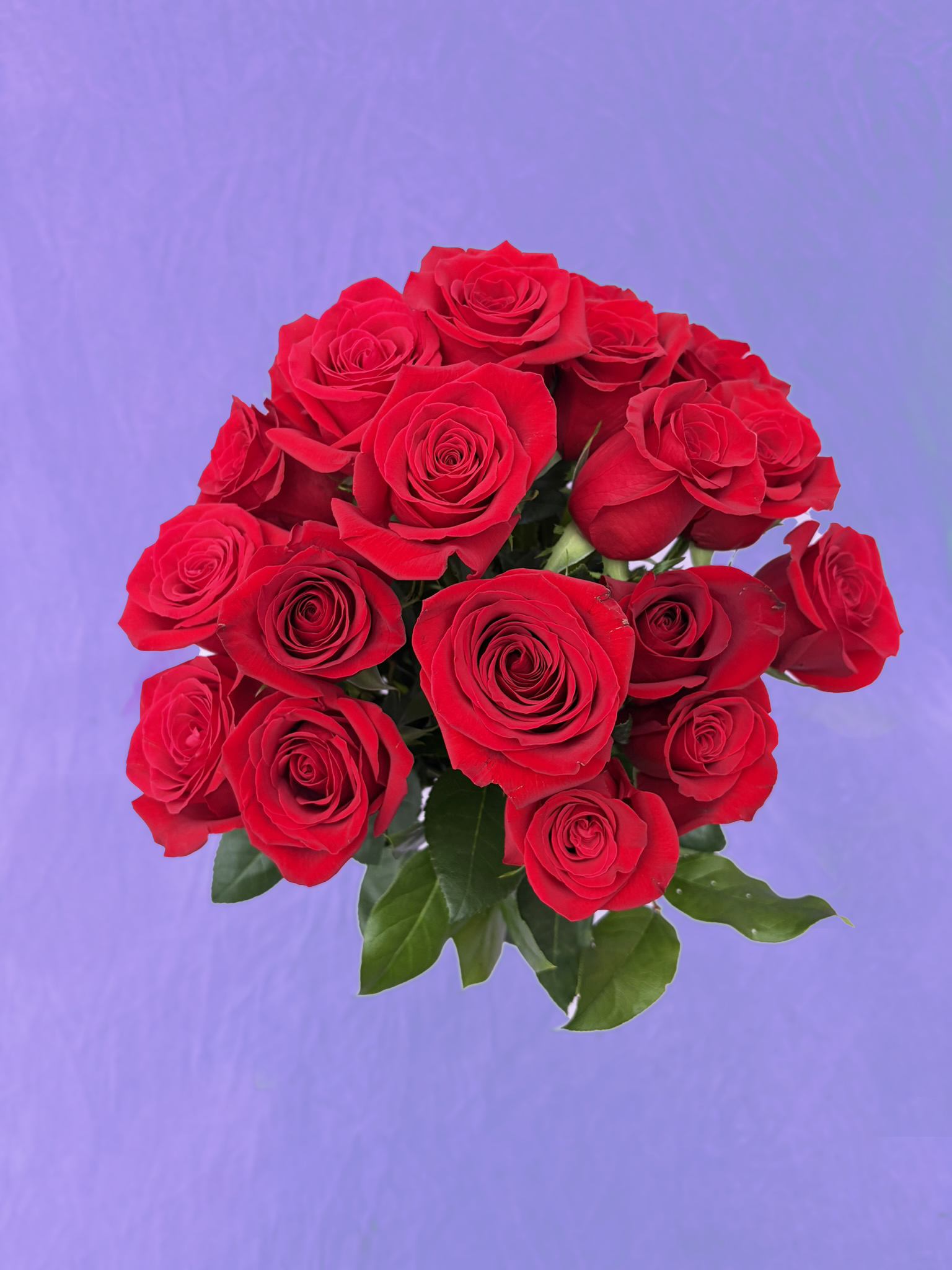 VALENTINE'S DAY COLLECTION